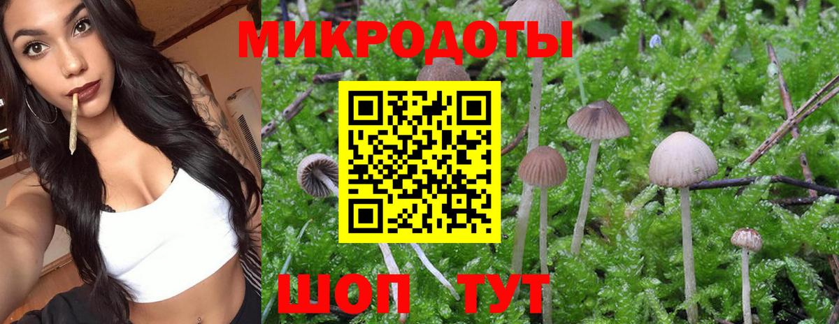 Галлюциногенные грибы мухоморы  Вход с VPN  Стрежевой 